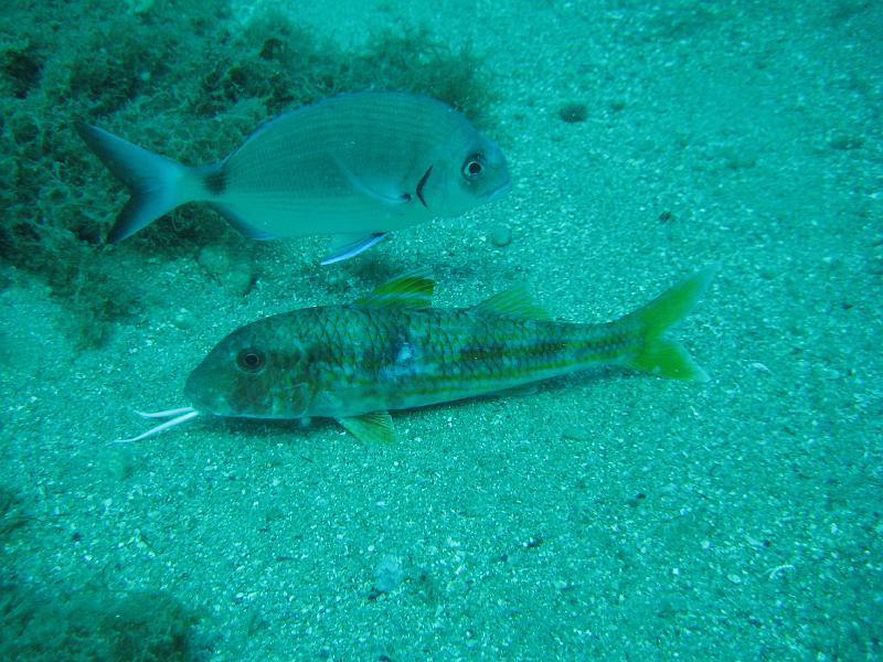 2009-09-08 13-08-12S.JPG
